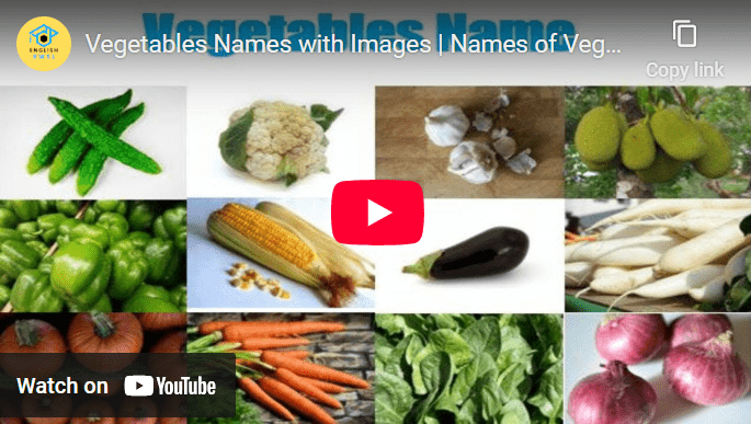 Learn vegetable names with pictures, including cucumber, cauliflower, garlic, corn, eggplant, radish, spinach, carrot, onion, and more.